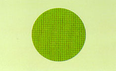 baifu4.jpg (9480 bytes)